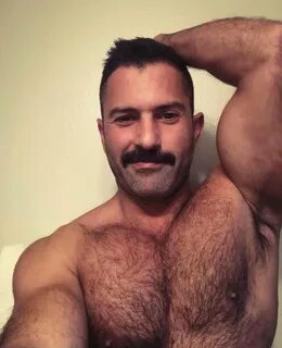 Californicate (@Californicate69) טוויטר (@Californicate69) — Twitter