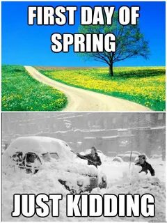 Pin by Andrea Gallegos on HILARIOUS First day of spring, Fun