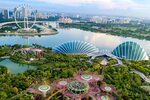 Зеленая сторона Сингапура. Что посмотреть в технологичной эк