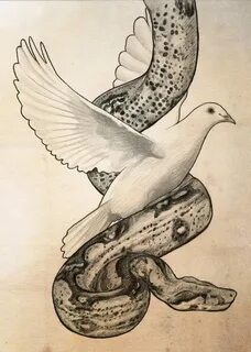 Serpent and the Dove Dove tattoo, Nature tattoos, Dove tatto