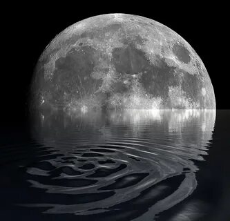 Download free photo of Moon,reflection,water,night,nature - 
