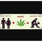 You and Me Weed Perfect Sex Meme on ME.ME