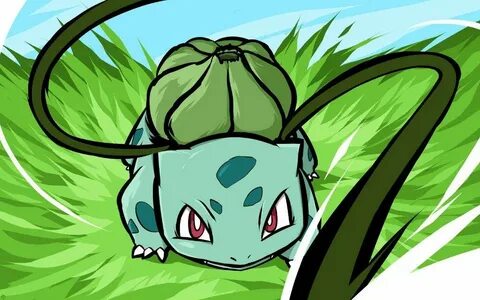 PKMN Galleries:Bulbasaur Pokémon Amino