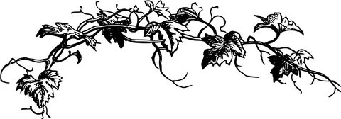 Vine Png , Png Download - Leaves Png Black And White Clipart