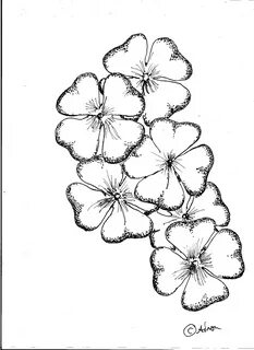 The best free Clover drawing images. Download from 467 free 