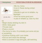 Does this count as beastiality? /r/Greentext Greentext Stori