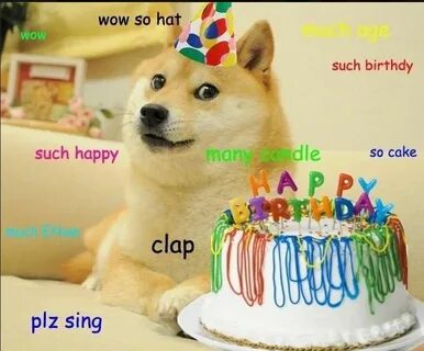 For Mai birthday Funny doge, Very funny memes, Birthday meme