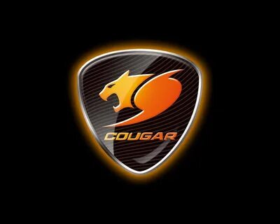 Компактный Full Tower для энтузиаста: обзор и тест корпуса Cougar Evolution - i2
