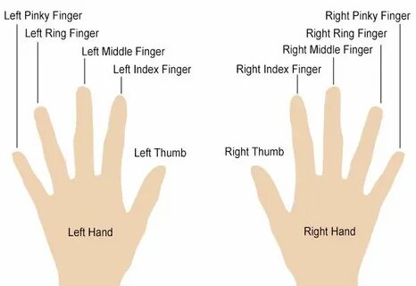 Ring finger meanings How to wear rings, Finger meaning, Ring