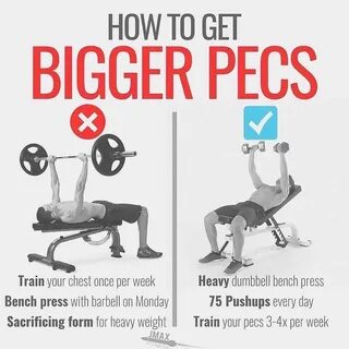 Research shows that bench presses will build your chest... 