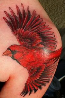 fuckyeahbodymods Cardinal tattoos, Shoulder tattoo, Memorial