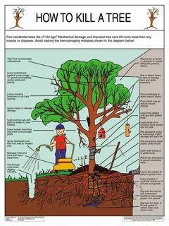 How to Kill A Tree Bahçecilik, Organik Bahçecilik, Sebze Bahçeciliği, Doğa,...
