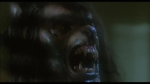 Werewolf Scary films, 1980s horror movies, Horror movies.