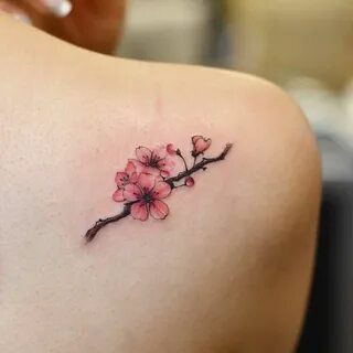 Новости Shoulder tattoos for women, Tattoos, Blossom tattoo