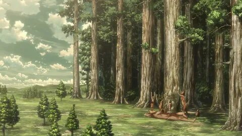 Attack On Titan Forest Pic