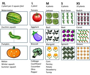 Square Foot Gardening Uk Spacing - Garden Plant