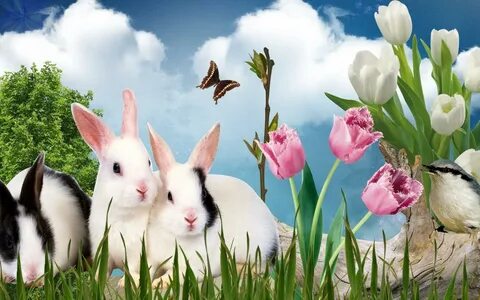 Скачать Easter Bunny Wallpaper APK для Android