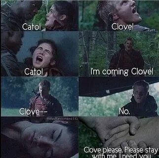 Cato and Clove Hunger games quotes, Hunger games humor, Hung