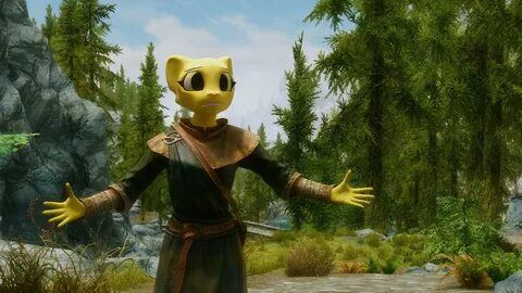 Skyrim Cat Race Mod 9 Images - Making A Cat Dragonborn Katia