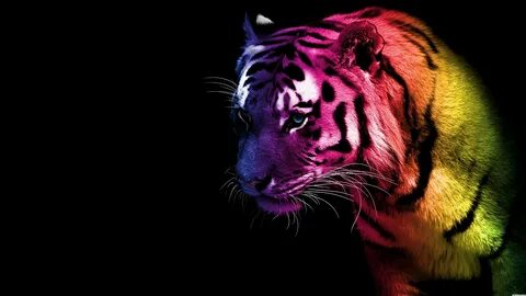 Neon Animal Wallpapers (58+ images)