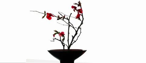 Pictures of ikebana japanese flower arrangement