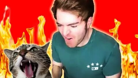 Did Shane Dawson DO IT with his Cat? - Drumr828 Talkn about 