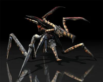 Arachnid Alien Species Fandom