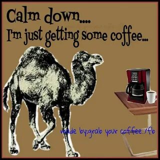 Calm Down I Am Just Getting Some Coffee Happy wednesday quot