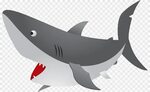 Great white shark Cuteness, Ferocious sea shark mouth, marin
