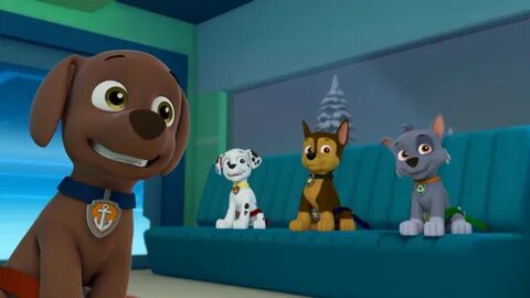 Zuma/Gallery/Pups Save a White Wolf PAW Patrol Wiki Fandom