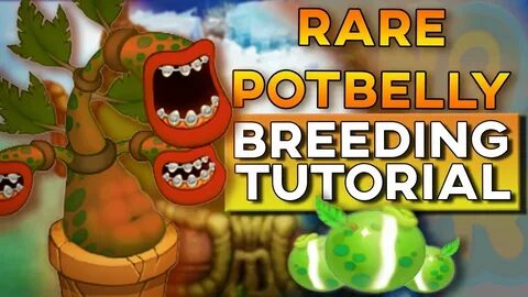 How to Breed RARE POTBELLY + SOUND! (ALL ISLANDS) My Singing