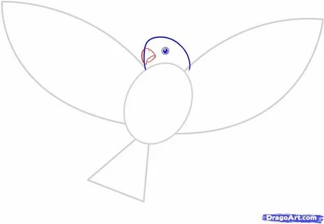 how to draw a flying bird step 8 Fly drawing, Bird drawings,