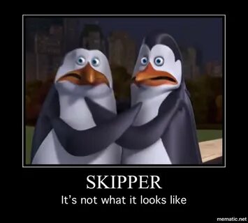 PoM Meme The Penguins of Madagascar Amino