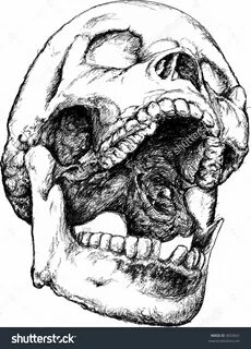 Open Mouth Skull Drawing at PaintingValley.com Explore colle
