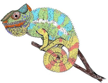 Chameleon - Chameleon Drawing - (2181x1702) Png Clipart Down