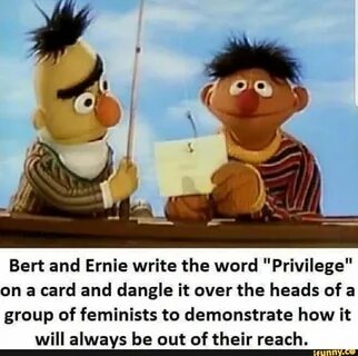 Bert and Ernie write the word "Privilege" on a card and dang