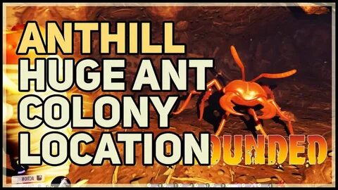 Huge Ant Colony Location Grounded Anthill - YouTube