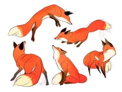 how to draw fox reference - Google Search Animal drawings, F