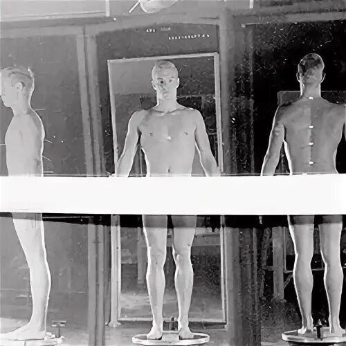 The Yale Posture Photos: James Franciscus - QueerClick