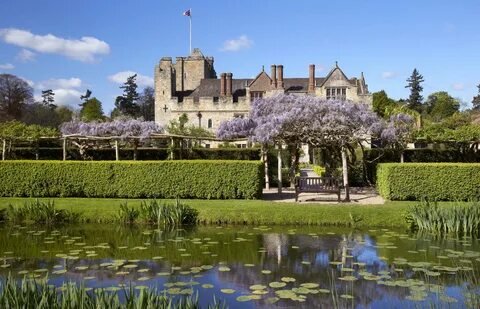 Getting wistful about wisteria - Hever Castle
