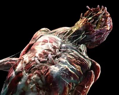Bloodshot (Resident Evil 6) Evil Resource