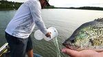 Catch n Cook Crappie Fishing Challenge - Cheating with Secre