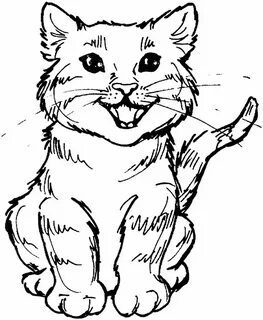 Pintar imágenes Cat colors, Cat coloring page, Cat drawing
