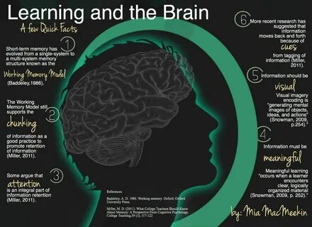 Learning and the Brain- A few quick facts Brain based learning, Whole brain teac