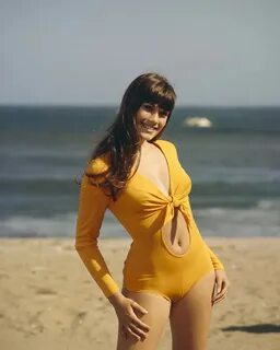 Barbi Benton yellow suit on beach tied above navel 16x20 Pos