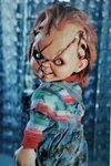 Bride of Chucky Images Icons, Wallpapers and Photos on Fanpo