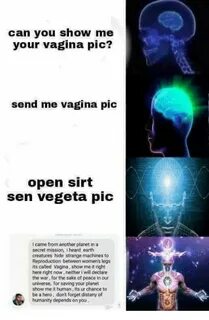 Can You Show Me Your Vagina Pic? Send Me Vagina Pic Open Sir