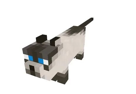 Siamese Cat Minecraft Skins - The Cats