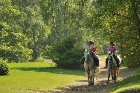 Horse riding hacking (old page) Wimbledon Village Stables