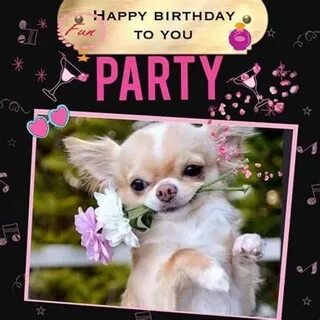 Chihuahua happy birthday Memes